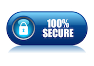 100% Secure