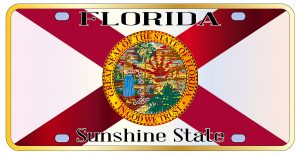 Florida License Plate Lookup