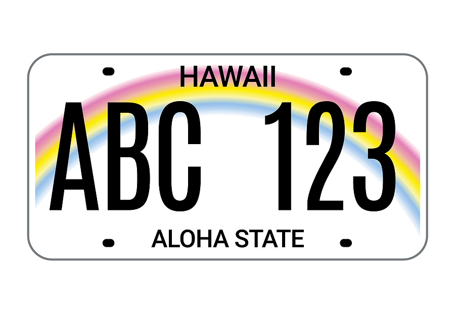 FREE Hawaii License Plate Lookup Search Any HI License Plate