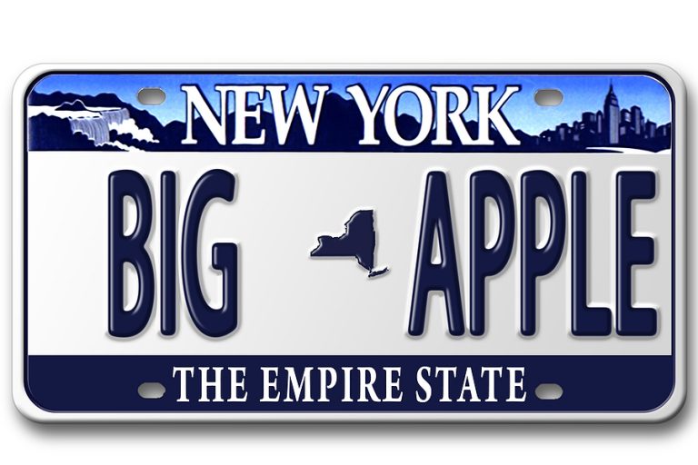 FREE New York License Plate Lookup Search Any NY License Plate